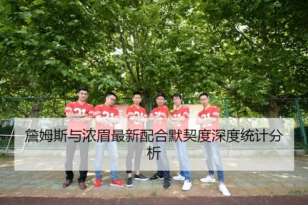 詹姆斯与浓眉最新配合默契度深度统计分析